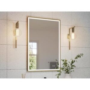 Home Fleurco Artus Framed Mirror 21" W X 36" H Defog/Light Brushed Nickel